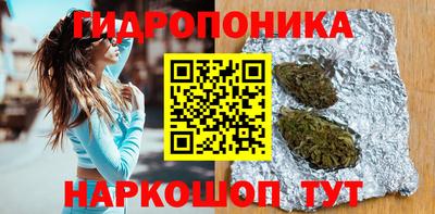 гашик Анжеро-Судженск