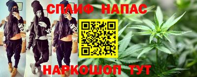 гашик Анжеро-Судженск